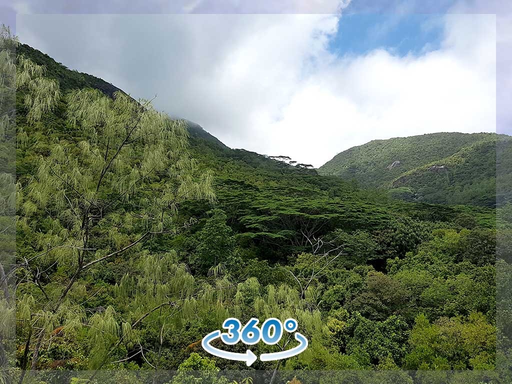 Trekking por la jungla - 360º