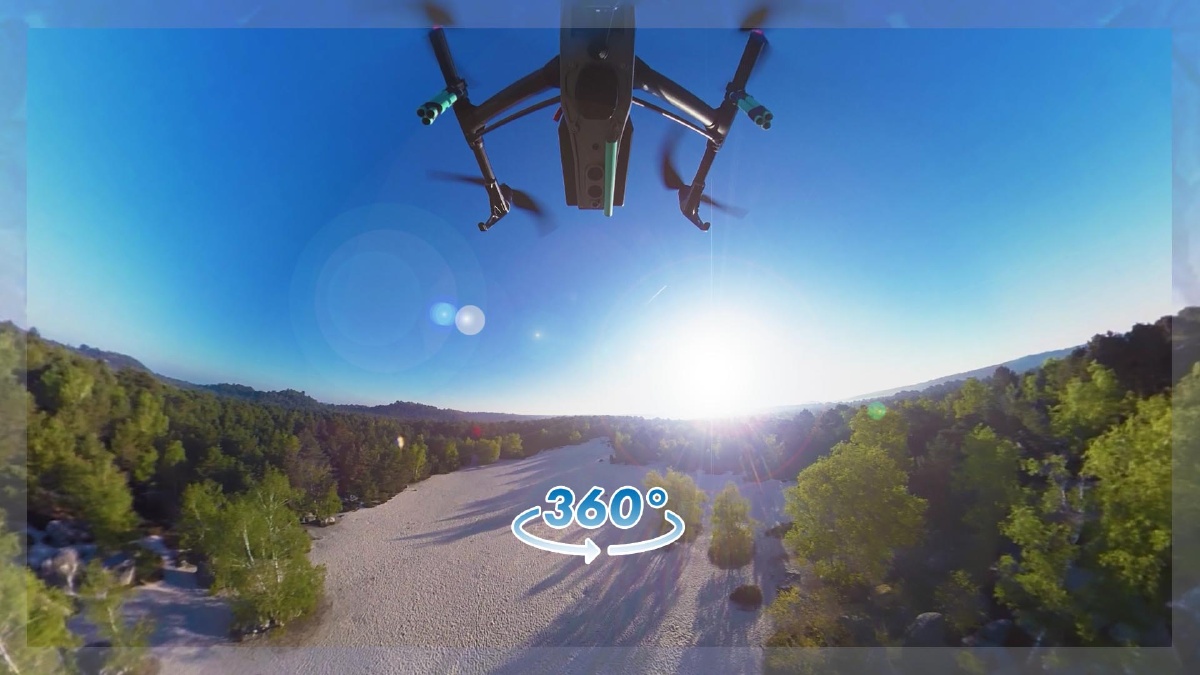 Sobrevuela un bosque costero - 360º